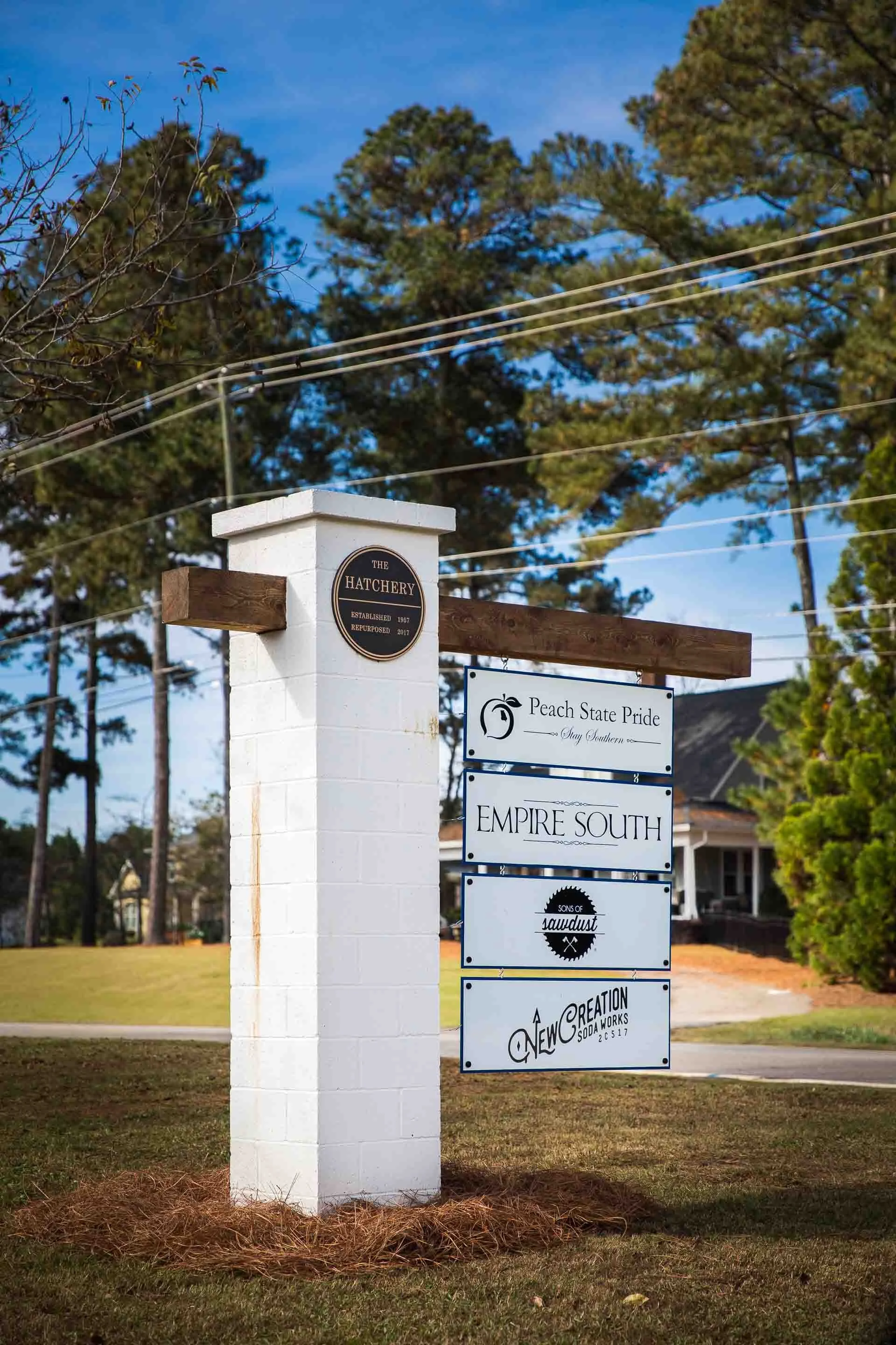 The Hatchery Gallery 2