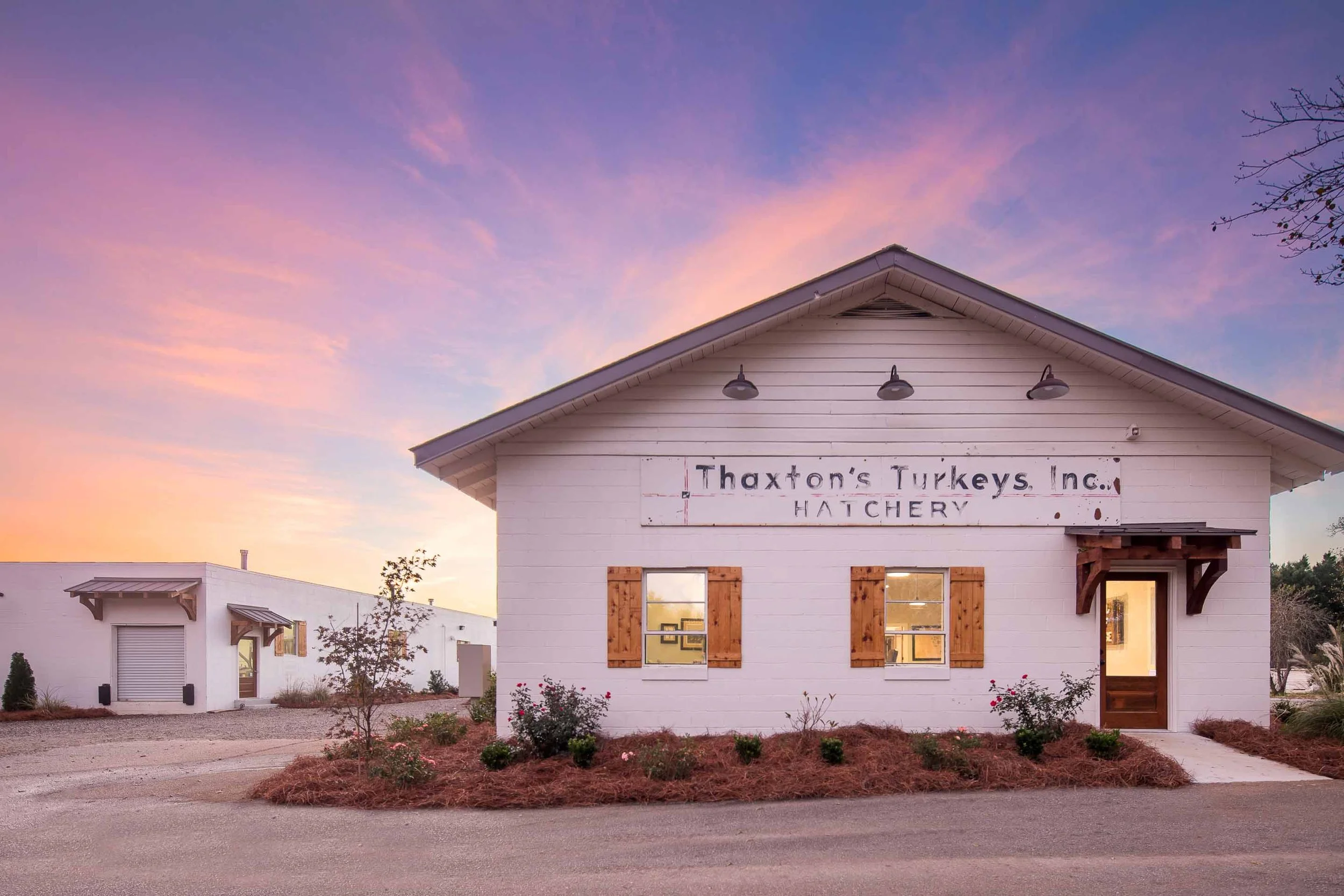 The Hatchery Gallery 3